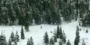 Burri ngujohet në mal për një javë pasi GPS-i e drejtoi në një rrugë të bllokuar