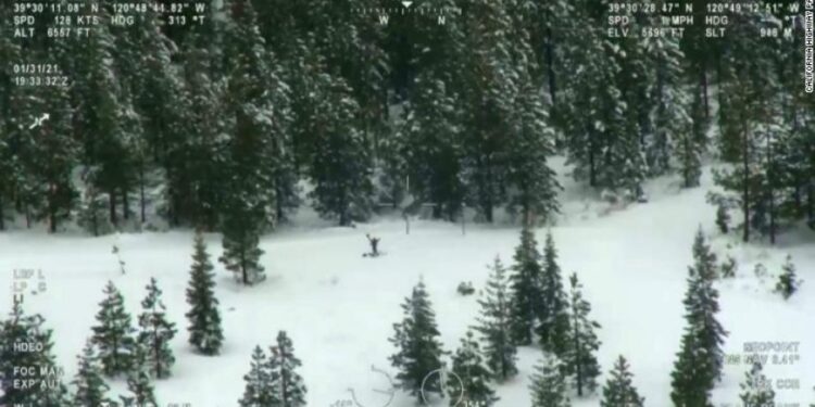 Burri ngujohet në mal për një javë pasi GPS-i e drejtoi në një rrugë të bllokuar