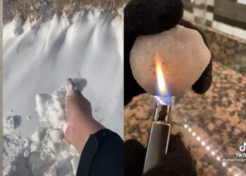 Borë e rrejshme, njerëzit në SHBA po thonë se bora që ra atje ishte artificiale