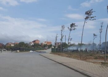 Moti për ditën e sotme