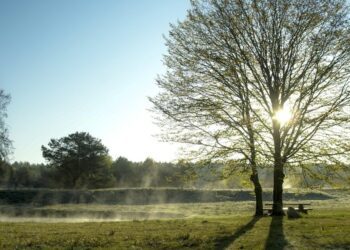 Moti për ditën e sotme