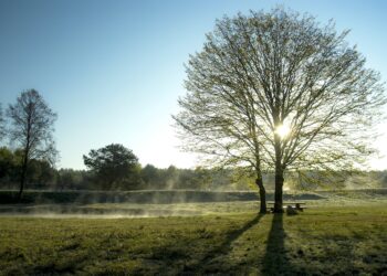 Fundjavë e vërtetë pranverore!