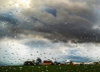 Moti për ditën e sotme