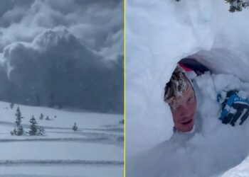 Pamje “apokaliptike”: Orteku zë një grup njerëzish me motora bore, mrekullia i nxjerr të gjallë