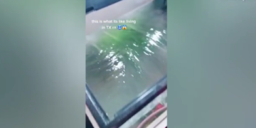 Acari në Teksas e ngrin akuariumin me peshq në dhomën e gjumit!