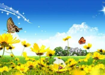 Sot ka filluar pranvera meteorologjike!