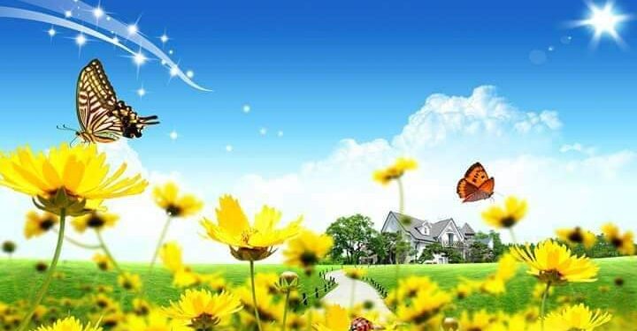 Sot ka filluar pranvera meteorologjike!