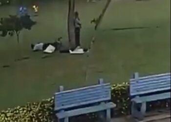 Rrufeja godet pemën, vret një person dhe plagos rëndë tre të tjerë!