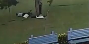 Rrufeja godet pemën, vret një person dhe plagos rëndë tre të tjerë!