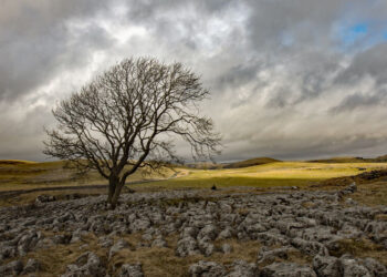 Moti nesër dhe ditëve në vazhdim! (13.03.2021.) E Shtunë