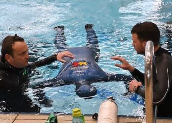 Duket e pabesueshme: Kroati 55 vjeçar qëndron 24 minuta e 33 sekonda pa frymë nën ujë