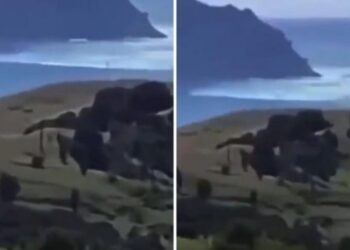 Tërmeti 8.1 ballë goditi Zelandën e Re, filmohen dallgët gjigande që përfshinë zonën