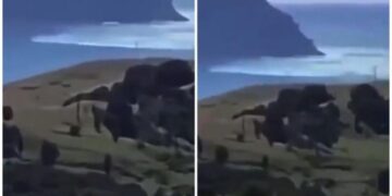 Tërmeti 8.1 ballë goditi Zelandën e Re, filmohen dallgët gjigande që përfshinë zonën