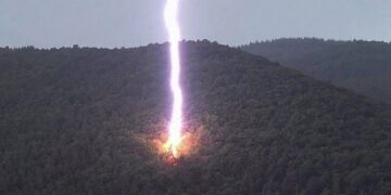 Rrufeja godet brenda një mali – shpartallon pemën duke ia lënë vetëm trungun