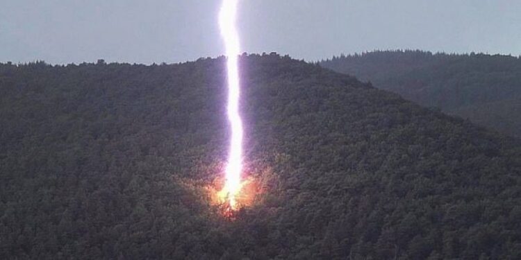 Rrufeja godet brenda një mali – shpartallon pemën duke ia lënë vetëm trungun