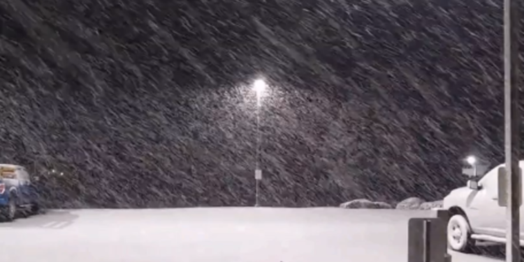 Moti për ditën e sotme