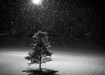 Moti për ditën e sotme