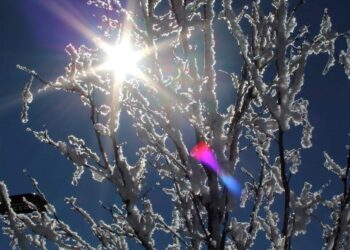 Moti për ditën e sotme