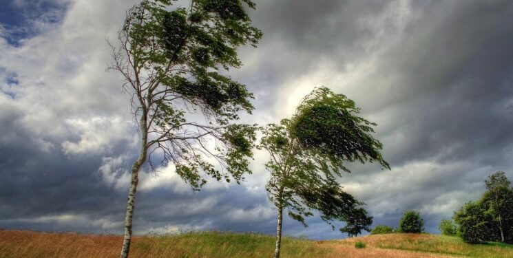 Moti për sot dhe ditët në vijim