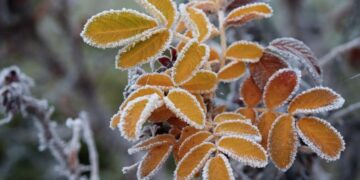 Moti për sot dhe gjatë vikendit