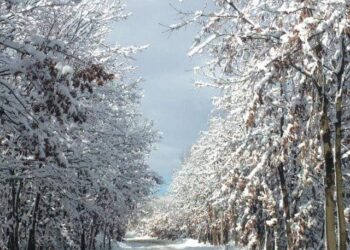 Moti nesër dhe ditëve në vazhdim! (25.03.2021.) e Enjte