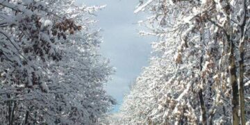 Moti nesër dhe ditëve në vazhdim! (25.03.2021.) e Enjte