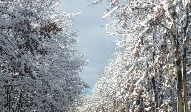 Moti nesër dhe ditëve në vazhdim! (25.03.2021.) e Enjte
