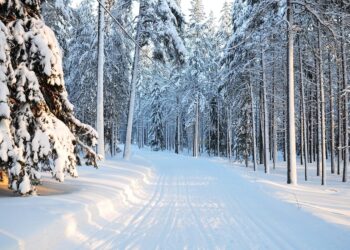 Moti nesër dhe ditëve në vazhdim! (24,03,2021.) E Mërkurë