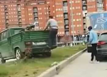 Policia dënon me 100 euro dhe me një pikë negative shoferin e kamionetës që dëmtoi pjesën gjelbëruese