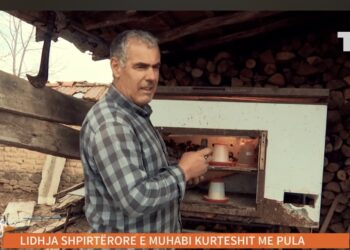 Lidhja shpirtërore e Muhabi Kurteshit me pulat: Nuk ha bukë pa shku mi kqyr pulat