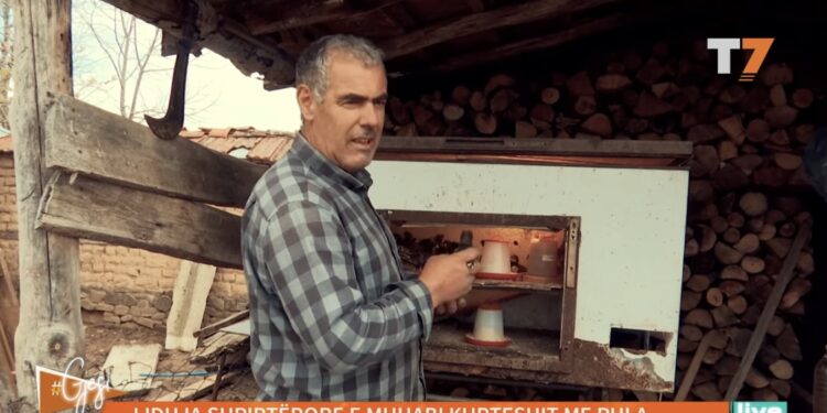 Lidhja shpirtërore e Muhabi Kurteshit me pulat: Nuk ha bukë pa shku mi kqyr pulat