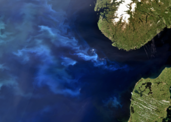 Viti 2020 ishte më i ngrohti ndonjëherë në Evropë