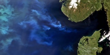 Viti 2020 ishte më i ngrohti ndonjëherë në Evropë