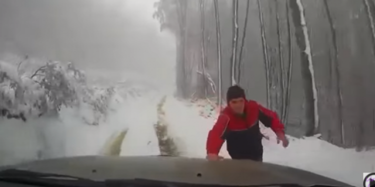 Harruan të tërheqin frenin e dorës në mes të pyllit, shoferi përjeton një dramë