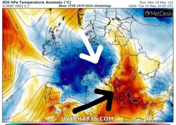 Tendencat e motit për këtë javë!