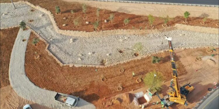 Sauditët fillojnë aksionin më të madh në botë të pyllëzimit, planifikojnë mbjelljen e 10 miliardë fidaneve për të zvogëluar emetimin e gazrave