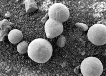 Shkencëtarët besojnë se këto fotografi paraqesin kërpudhat në Mars