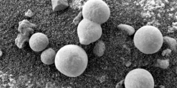 Shkencëtarët besojnë se këto fotografi paraqesin kërpudhat në Mars