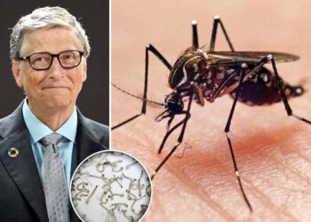 Eksperimenti me 500 milionë mushkonja nga kompania e Bill Gates, cili ishte qëllimi