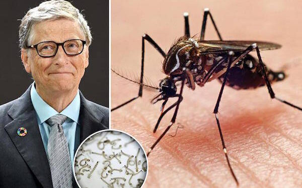 Eksperimenti me 500 milionë mushkonja nga kompania e Bill Gates, cili ishte qëllimi