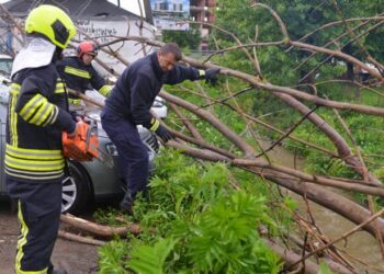 Reshjet e shiut në Kamenicë, dëme materiale pasi degët e pemëve bien mbi vetura