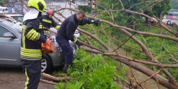 Reshjet e shiut në Kamenicë, dëme materiale pasi degët e pemëve bien mbi vetura