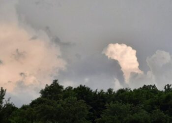 Moti për sot dhe ditët në vijim