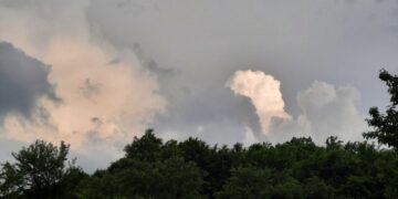 Moti për sot dhe ditët në vijim