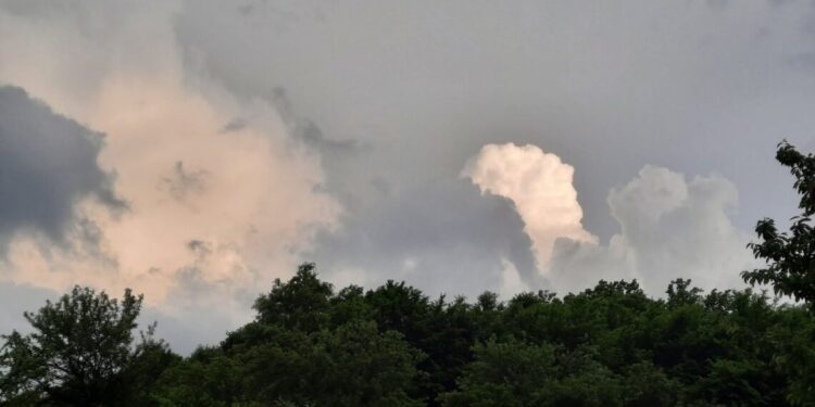 Moti për sot dhe ditët në vijim