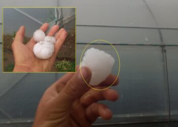 Në Kamenicë, kokrra e breshrit sa veza e pulës