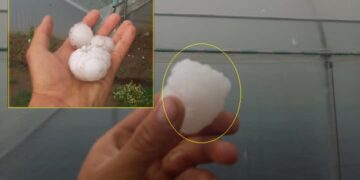 Në Kamenicë, kokrra e breshrit sa veza e pulës