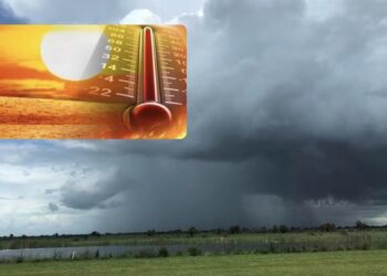 Moti për sot dhe ditët në vijim