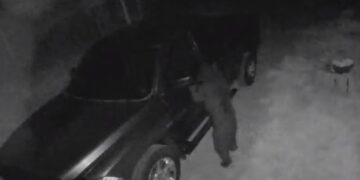 Pamje se si ariu e hap derën e veturës dhe futet brenda