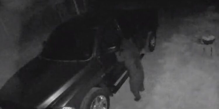 Pamje se si ariu e hap derën e veturës dhe futet brenda